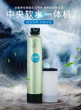软水机锅炉软水过滤器设备去除水垢软化树脂阻垢软水处理器