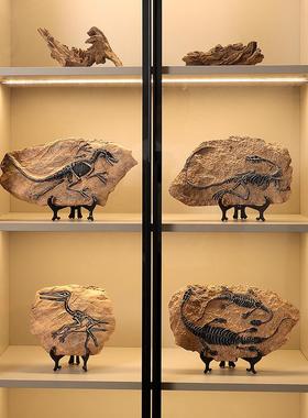 创意仿真恐龙化石摆件复古霸王龙标本工艺品摆设办公室桌面装饰品