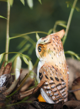 优选鹿妖商店 猫头鹰 雕鸮 纯手工木雕摆件 实木 动物 桌面摆件