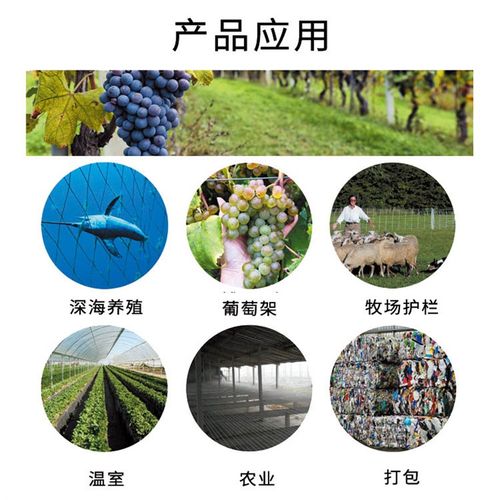 托幕线40斤温室大棚压膜线葡萄架耐老化火龙果百香果托膜线聚酯线 - 图0