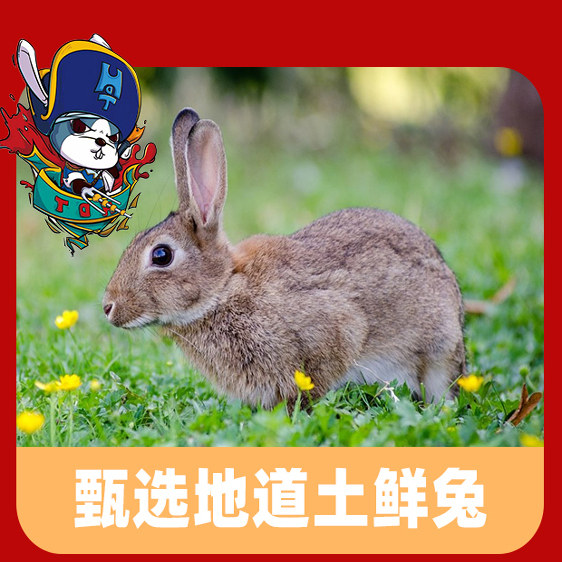 嗨岛兔麻辣冷吃兔250g四川成都红油兔丁自贡特产每日新鲜网红零食,淘宝优惠券,粉丝福利购,淘宝优惠卷