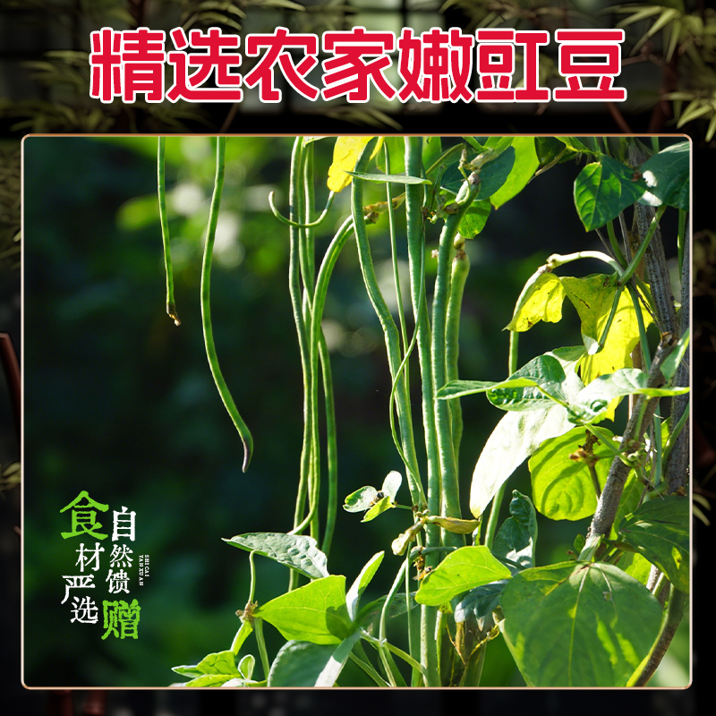 木鱼山正宗四川老坛酸豆角泡菜下饭菜咸菜腌制泡菜酸豆角开胃菜