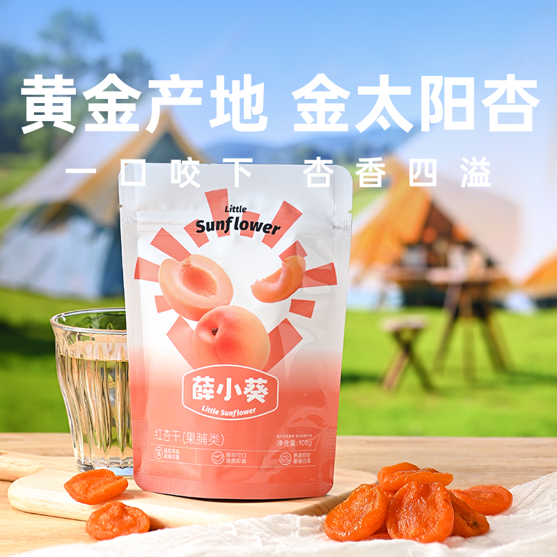 薛小葵 紅杏干無核杏肉 108g*3袋
