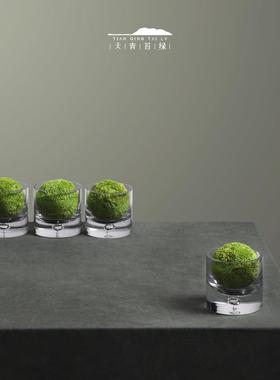 天青苔绿 现代新中式玻璃花器永生苔藓球 样板间茶几展柜书桌摆件