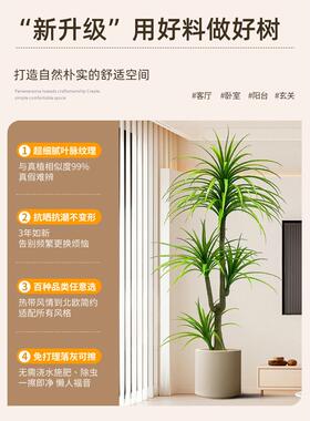 模拟绿色植物龙血树饰品模拟花假树植物彷生优雅可及豪华客厅落地