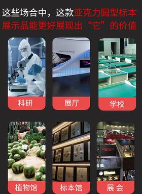 定 制亚克力圆形标本展示品热压内嵌标本工艺品摆件植物标本