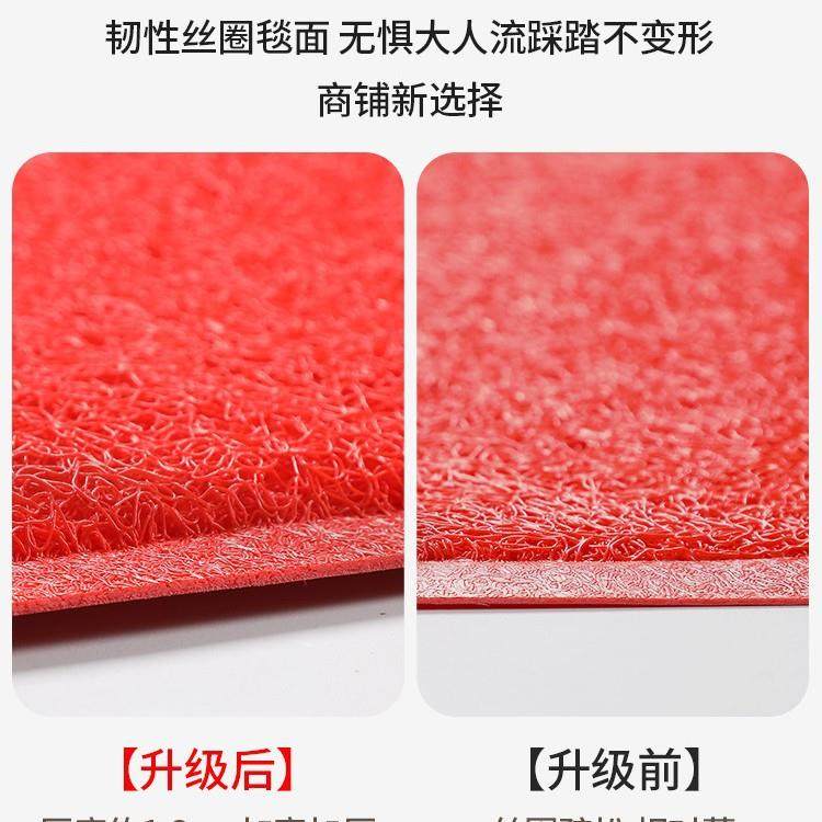 入户门地垫进门大门口出入平安门垫2025新款红色丝圈脚垫门外地毯,淘宝优惠券,粉丝福利购,淘宝优惠卷