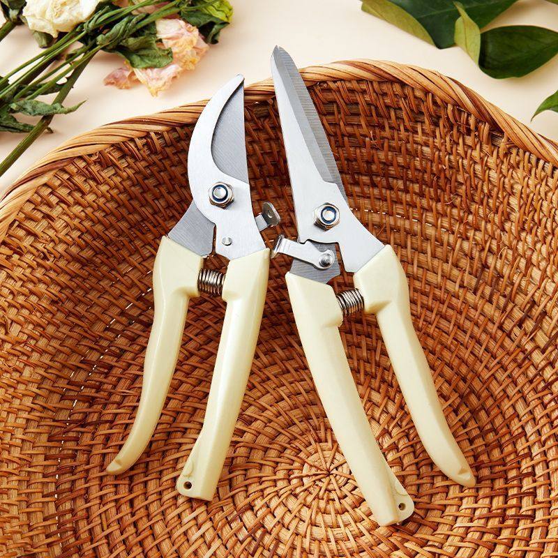 修枝剪果枝修剪刀盘栽剪园艺剪刀花艺果树园林摘果粗枝剪锋利省力,淘宝优惠券,粉丝福利购,淘宝优惠卷