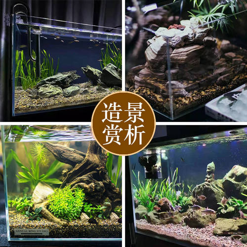 免洗鱼缸底砂溪流石鹅卵石原生水族鱼缸底部火山石装饰五彩石豆石 - 图2