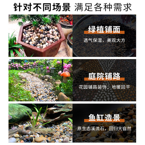 免洗鱼缸底砂溪流石鹅卵石原生水族鱼缸底部火山石装饰五彩石豆石 - 图3