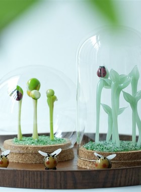 优选淄博琉璃豆芽盆栽玻璃罩微景观摆件创意办公桌装饰永生花治愈