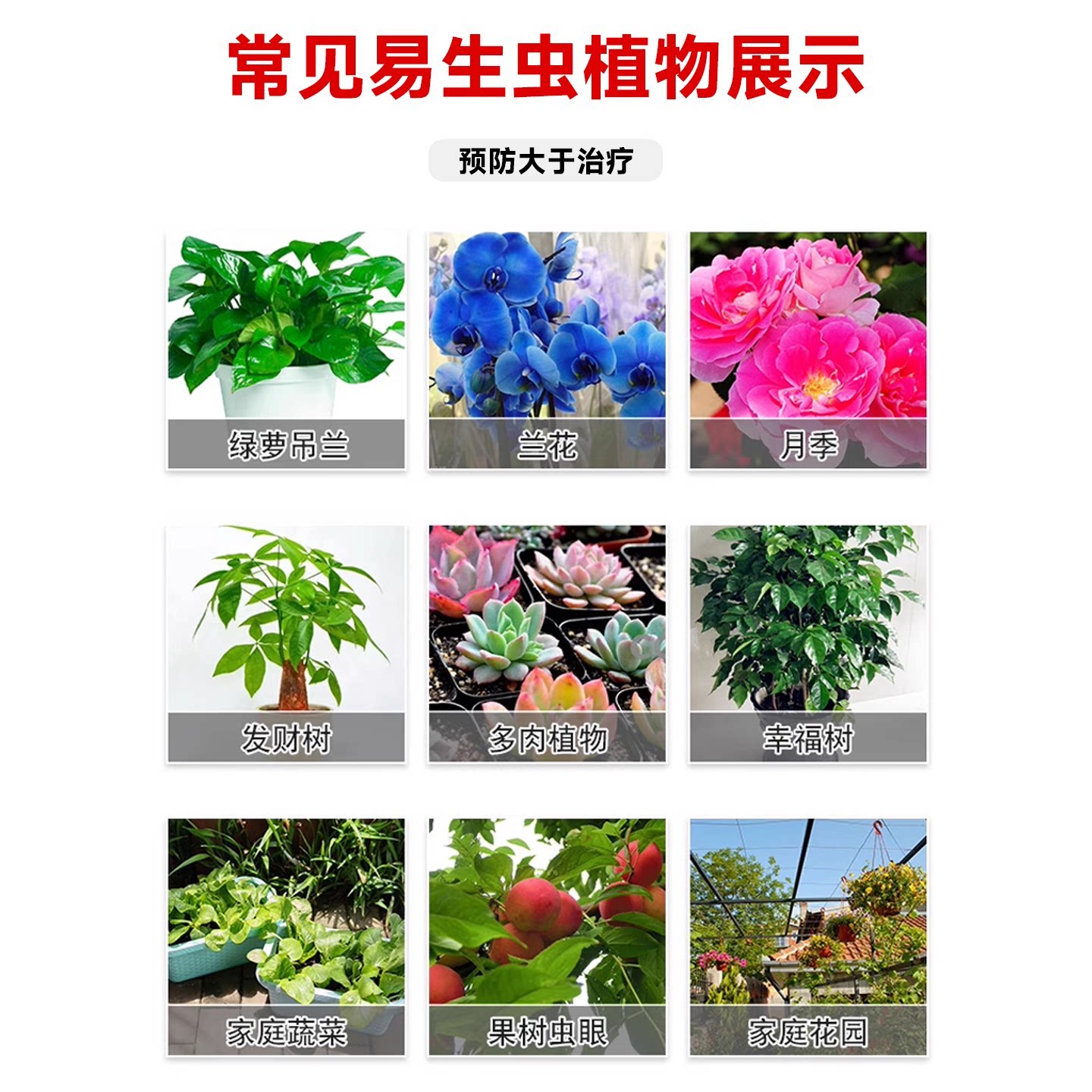 护花神阿维吡虫啉花卉月季兰花盆栽除虫植物蚜虫小飞虫通用杀虫剂