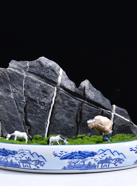 青龙石一物一拍造景石原石成品鱼缸假山草缸玄关中V式石头奇石摆
