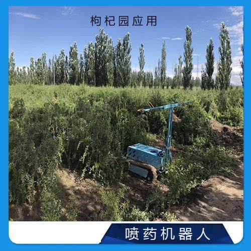 履带式自主式喷药机器人 果园打药设备喷药机器 远程无人打药机,淘宝优惠券,粉丝福利购,淘宝优惠卷