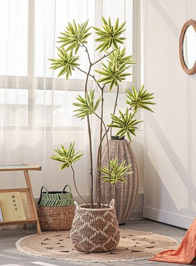模拟金边百合竹盆栽斯堪o的纳维亚风格绿色植物落地盆栽室内大型