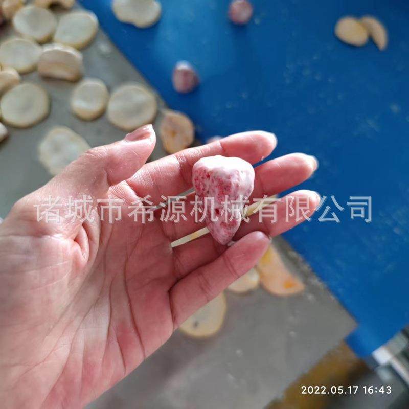 巧克力涂层机 饼干类涂层设备 糕点淋巧克力浆设备 饼干淋面机,淘宝优惠券,粉丝福利购,淘宝优惠卷