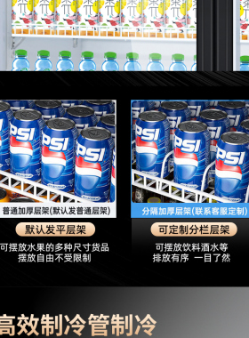 白雪雅竹风冷无霜冷藏展示柜