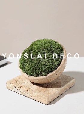 优选现代仿真绿植苔藓盆栽桌面摆件样板间售楼处家居办公室茶几软