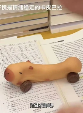 卡皮巴拉拉拉车水豚变形车四轮车