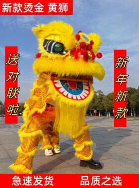 新款成人双人舞龙舞狮道