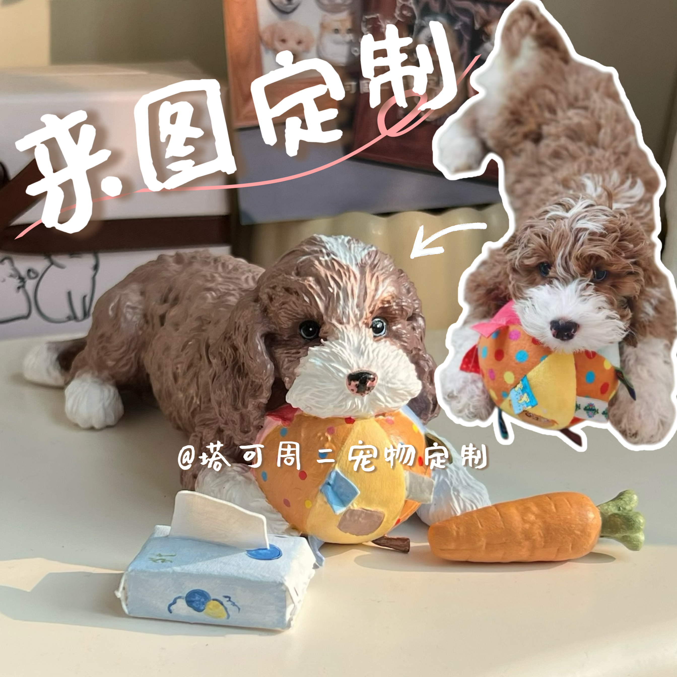 【塔可周二宠物定制】3D建模宠物全身定制手办,淘宝优惠券,粉丝福利购,淘宝优惠卷