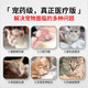 Petweisheng cat vitamin B solution ເພື່ອປ້ອງກັນການສູນເສຍຜົມ, cat ringworm ແລະ stomatitis, ສໍາລັບແມວ, ສໍາລັບຫມາ, ສໍາລັບສັດລ້ຽງ, ຄອບຄົວ multivitamin B