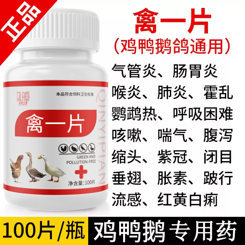 Poultry piece, chicken disease treatment, chicken, duck and goose medicine, respiratory tract, cold, diarrhea, fever, flu first aid tablet, enrofloxacin