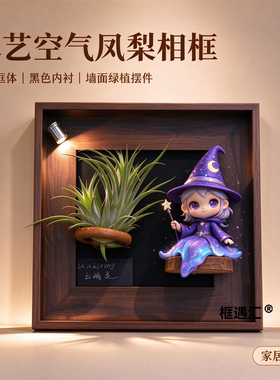 创意DIY空气凤梨相框磁吸背板
