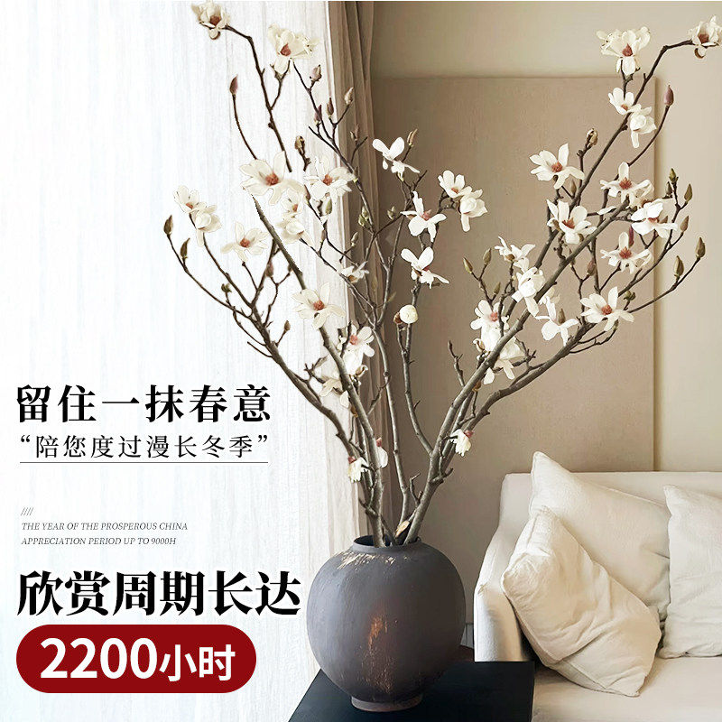 水培紫玉兰花鲜切枝带花苞干枝红梅鲜花卉室内好养四季开花植物,淘宝优惠券,粉丝福利购,淘宝优惠卷