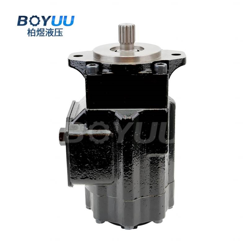 T6CCM-B31-B14-3R03-D100叶片泵  用于新能源  石油设备 厂家直销 - 图0