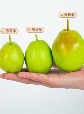 严选展示橱柜装饰写果生摄影道雪具仿真假水梨胖梨梨梨子模型仿香