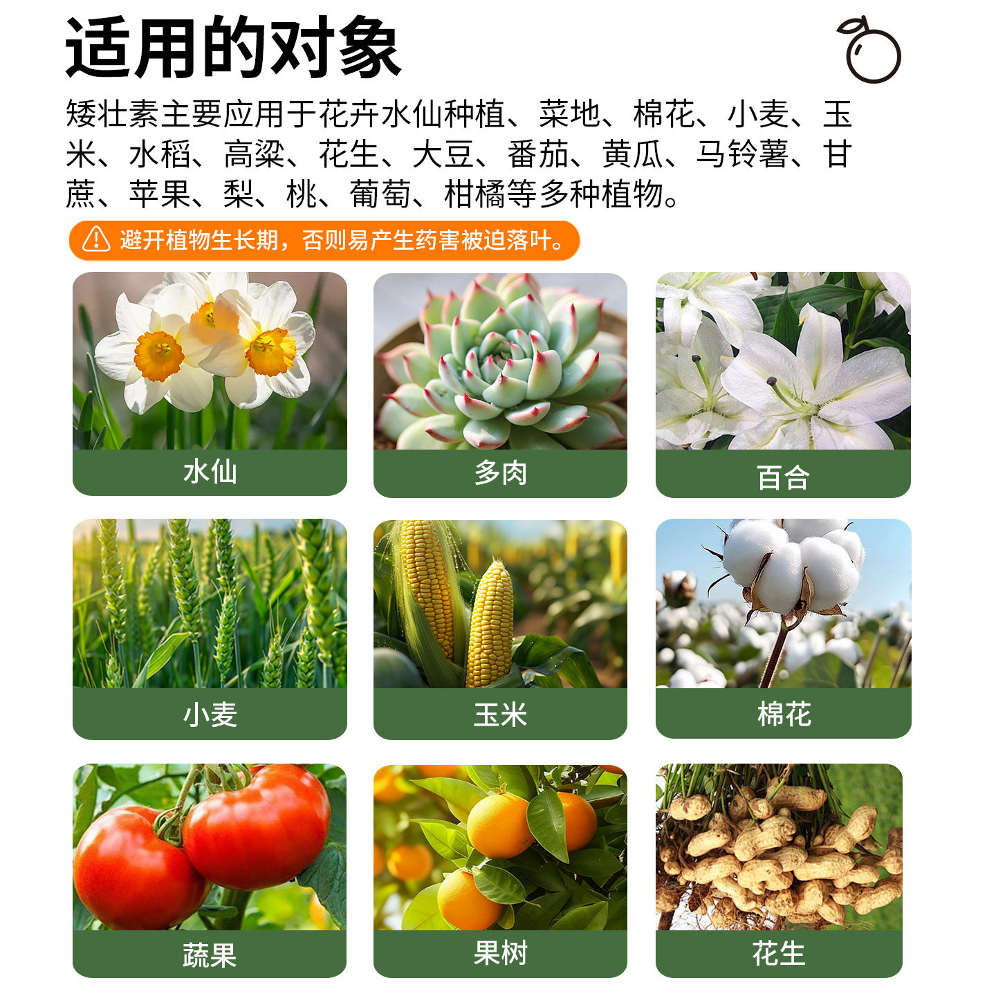 矮壮素花卉专用国光抑灵水仙花矮胖素蔬菜油菜植物多肉控梢调节剂,淘宝优惠券,粉丝福利购,淘宝优惠卷