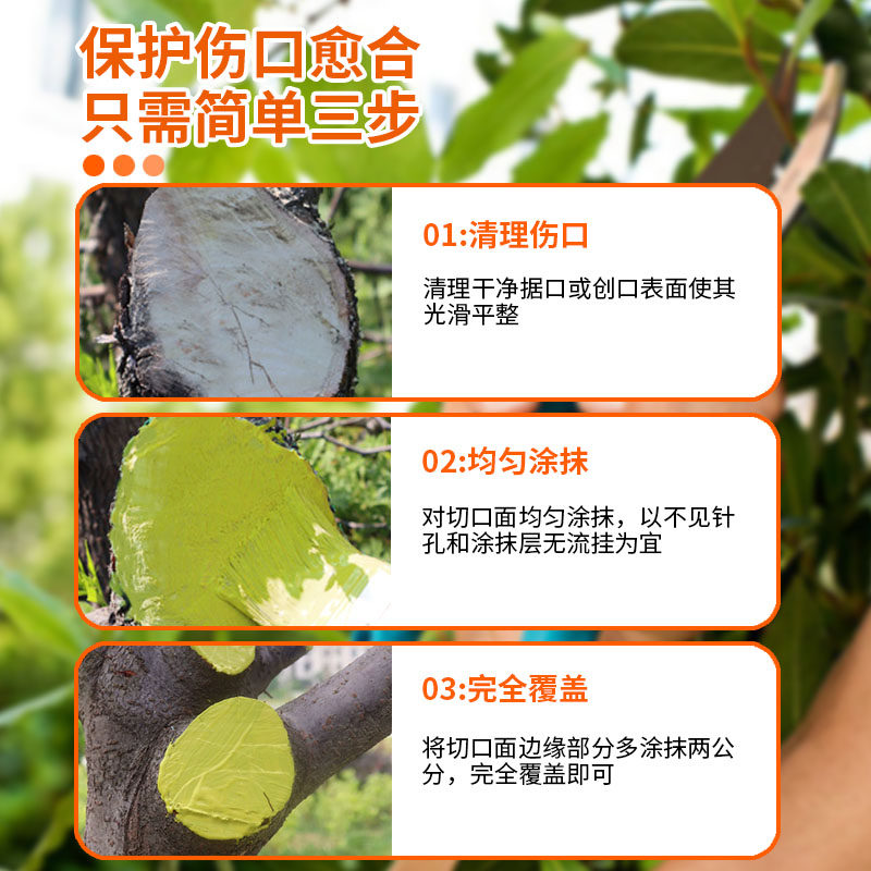 国光施奇愈伤涂抹剂官方正品植物果树盆景月季苗木糊涂伤口愈合剂,淘宝优惠券,粉丝福利购,淘宝优惠卷