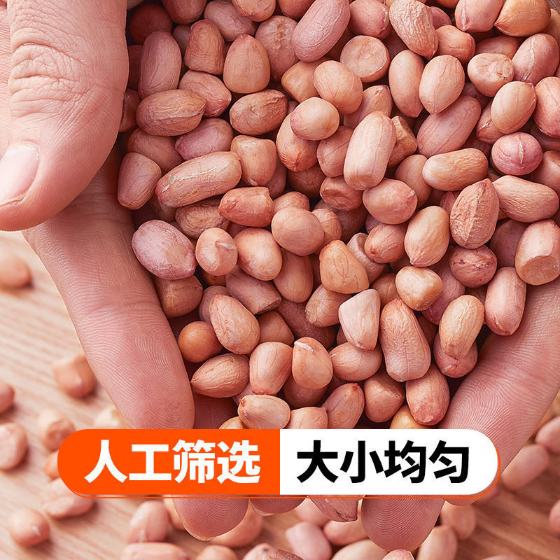 2025新鲜新货优质大颗粒花生农家花生米生的散装自产花生仁批发,淘宝优惠券,粉丝福利购,淘宝优惠卷