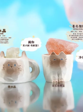 猫猫PAI水晶盲盒可爱动物小摆件