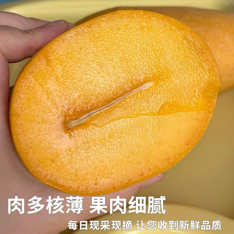 橙先森正宗金煌芒产地直发新鲜水果当季芒果青芒水仙芒