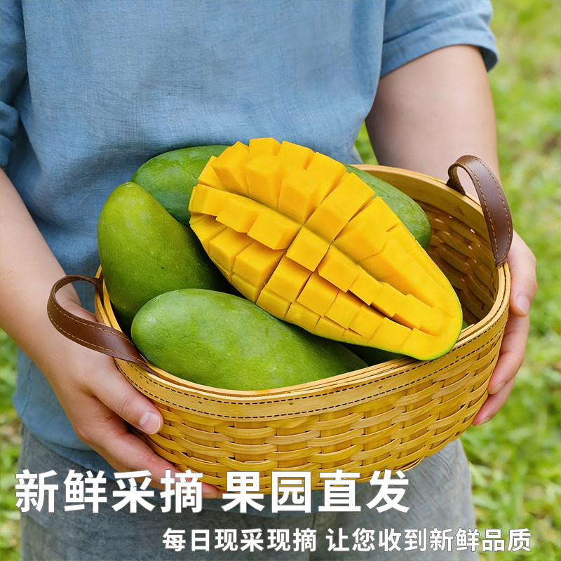橙先森正宗金煌芒产地直发新鲜水果当季芒果青芒水仙芒