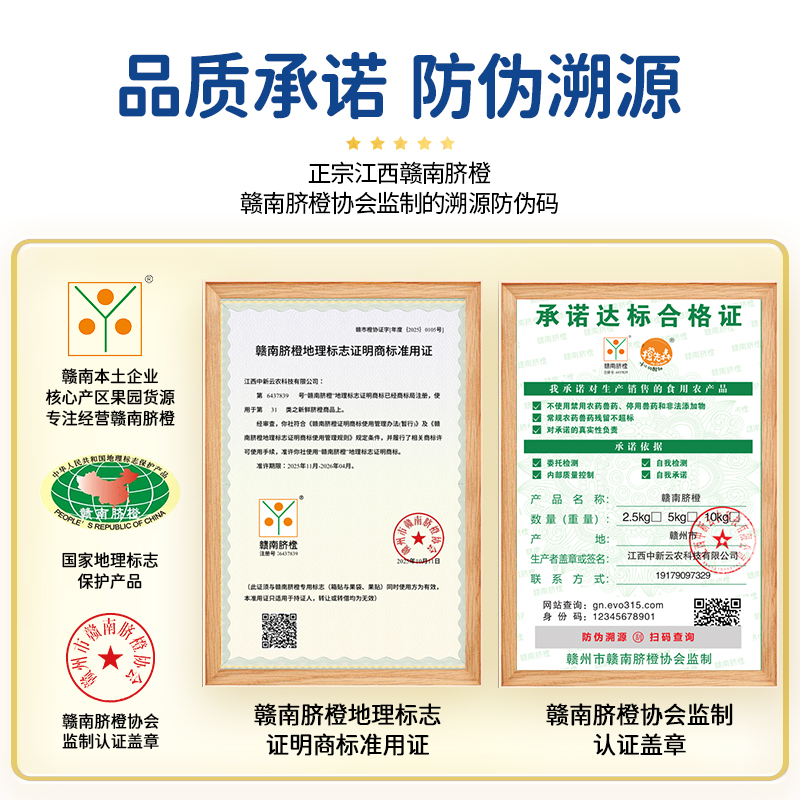 橙先森赣南脐橙产地现摘直发橙子赣州橙新鲜水果鲜橙汁