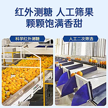 橙先森赣南脐橙产地现摘直发橙子10斤[20元优惠券]-寻折猪