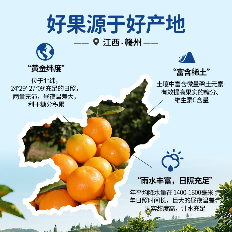 橙先森赣南脐橙赣州现摘发货赣州橙鲜橙赣南新鲜橙子10斤装