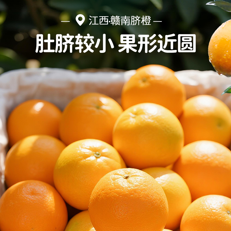 橙先森正宗赣南脐橙产地直发新鲜现摘发货水果鲜橙汁橙子赣州橙