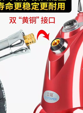 一挺立挺捷美全铜接口服装店商用家用大蒸汽挂烫机熨斗机直营