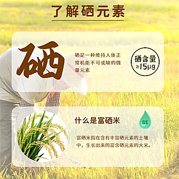 【破价】富硒猫牙米长粒香大米5斤[5元优惠券]-寻折猪