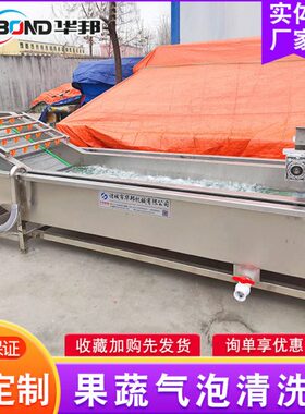 自动气泡果蔬清洗机 净菜加工设备 不锈钢多功能气泡清洗设备