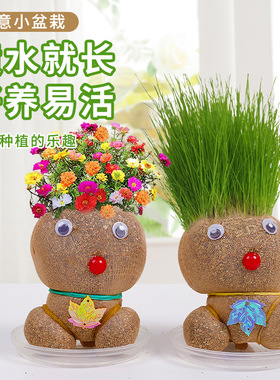 室内种植长草娃娃草头娃娃小盆栽幼儿园手工桌面绿植摆件豆荚diy