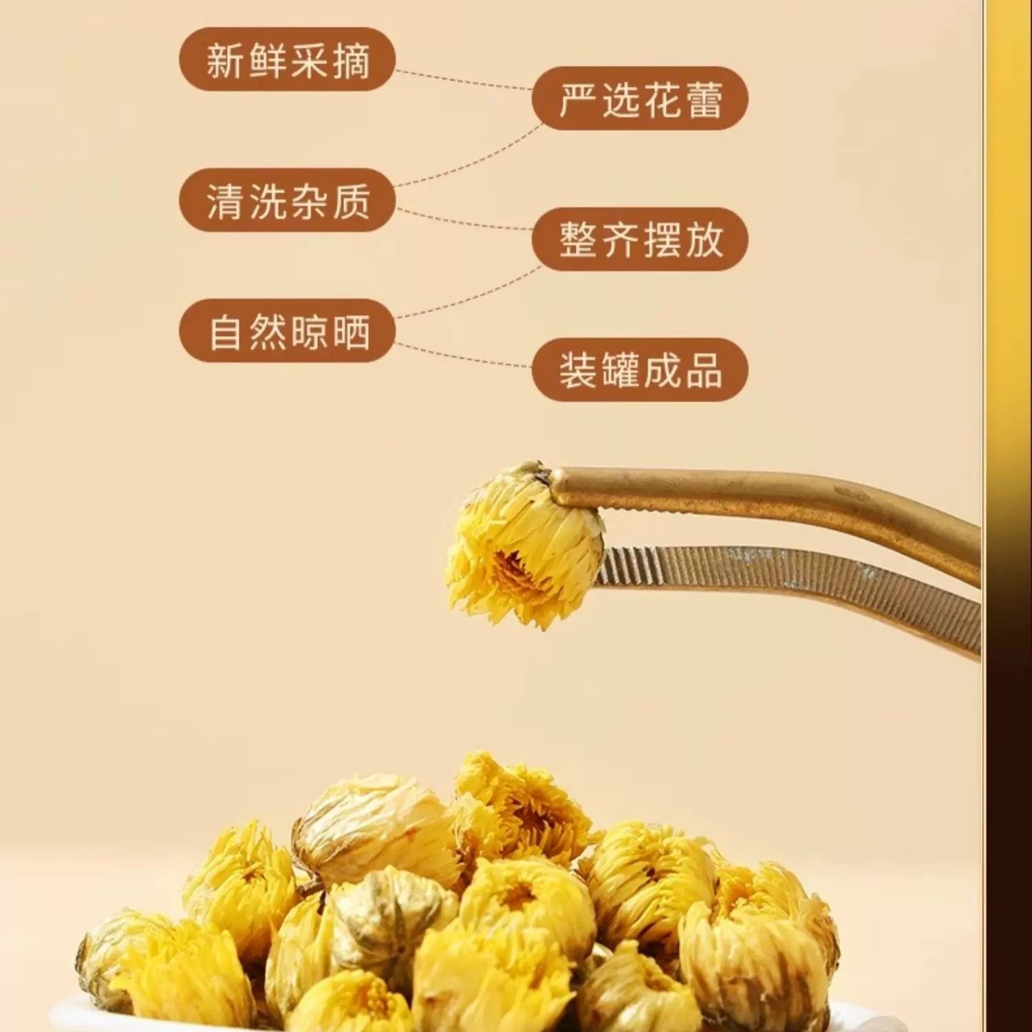 胎菊特级正品干菊花枸杞金银花茶清花茶泡茶热专用 植物提取物,淘宝优惠券,粉丝福利购,淘宝优惠卷