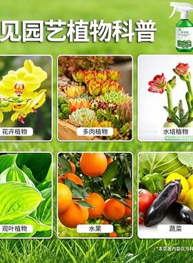 呋虫胺家用室内园艺杀虫喷雾