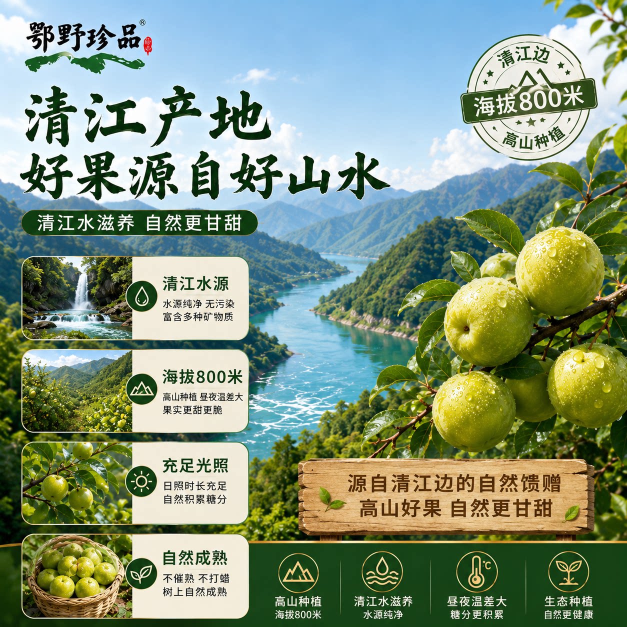 图5