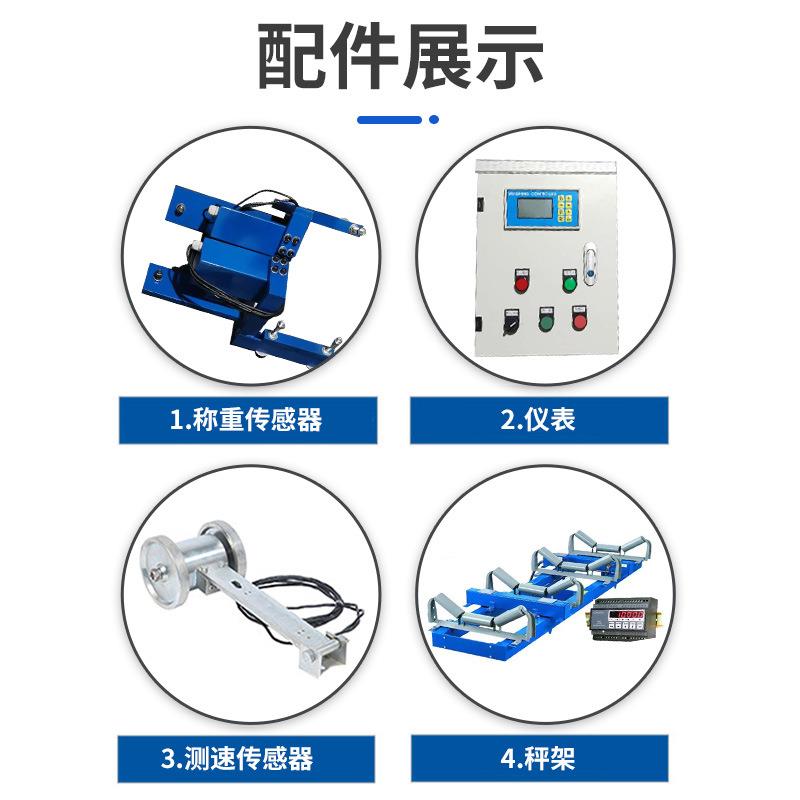 定制电子皮带秤高精度皮带秤ICS电子皮带秤精度高电子皮带秤厂家 - 图2