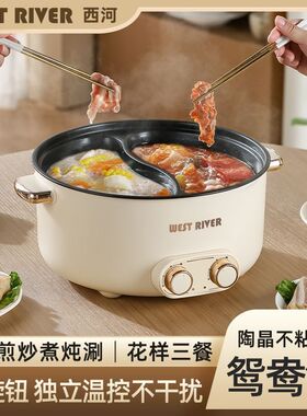 德国正品新款鸳鸯电火锅家用多功能一体式双控鸳鸯锅大功率电热锅